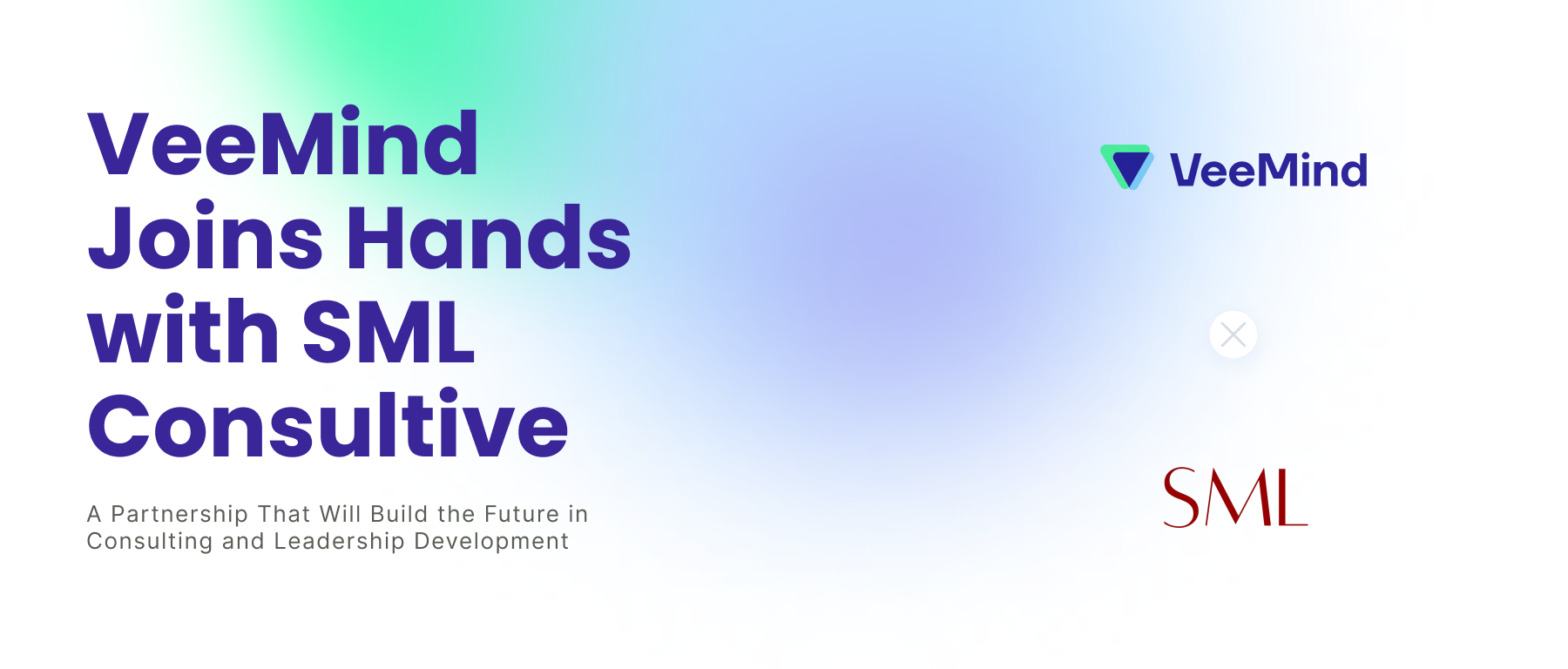 Announcing an Exciting Partnership: VeeMind Joins Hands with SML Consultive