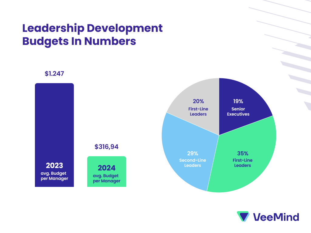 Leadership Development Budget in Numbers, comparison of 2023 and 2024 and allocation of budget per group of managers
